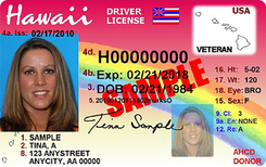 HI DMV driver's license