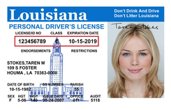 LA OMV driver's license