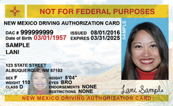 NM MVD driver's license