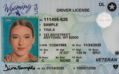 WY DOT driver's license