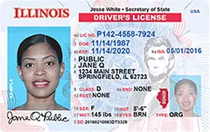 IL DMV driver's license