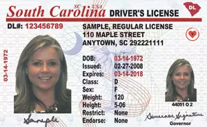 SC DMV driver's license